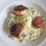 Seared Scallops Seared Scallops